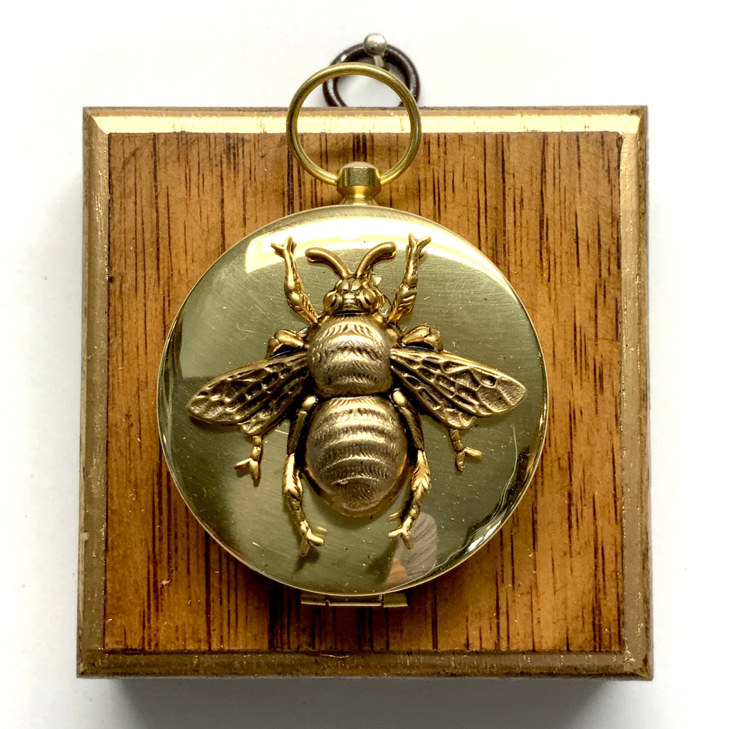 Wooden Frame with Grande Bee on Compact by Museum Bees