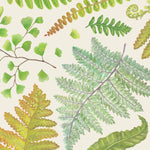 Load image into Gallery viewer, Fern Napkins by Hester &amp; Cook
