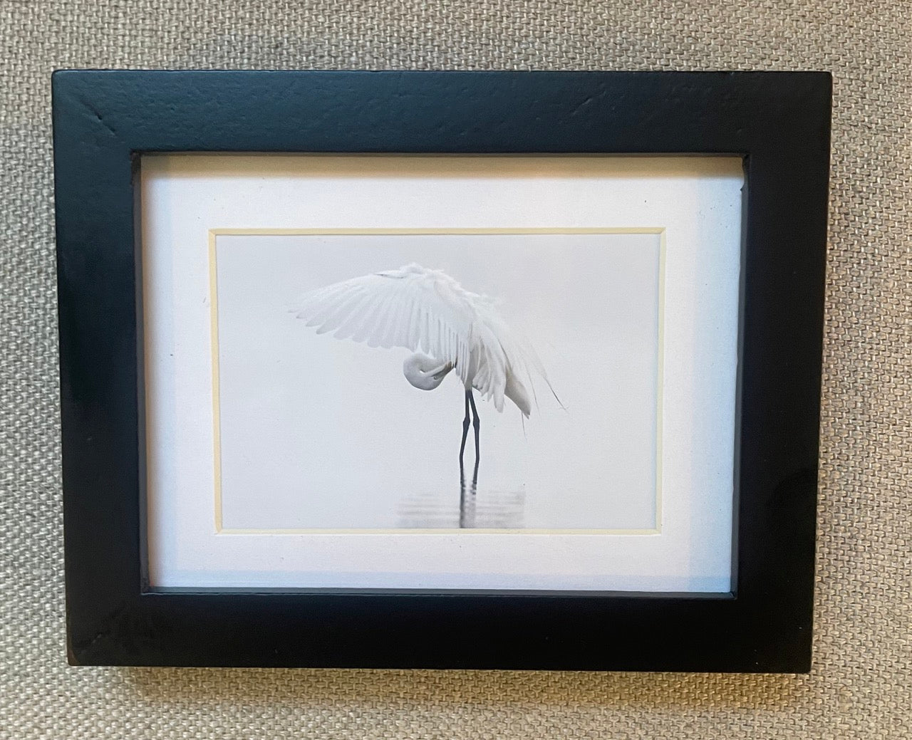 Great Egret by Sarah Blodgett