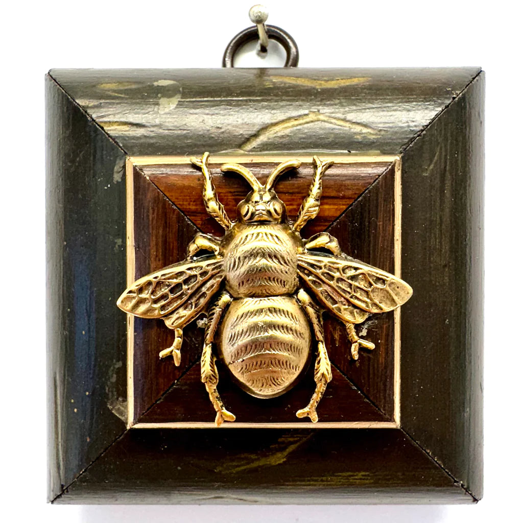 Wooden Frame with Grande Bee by Museum Bees