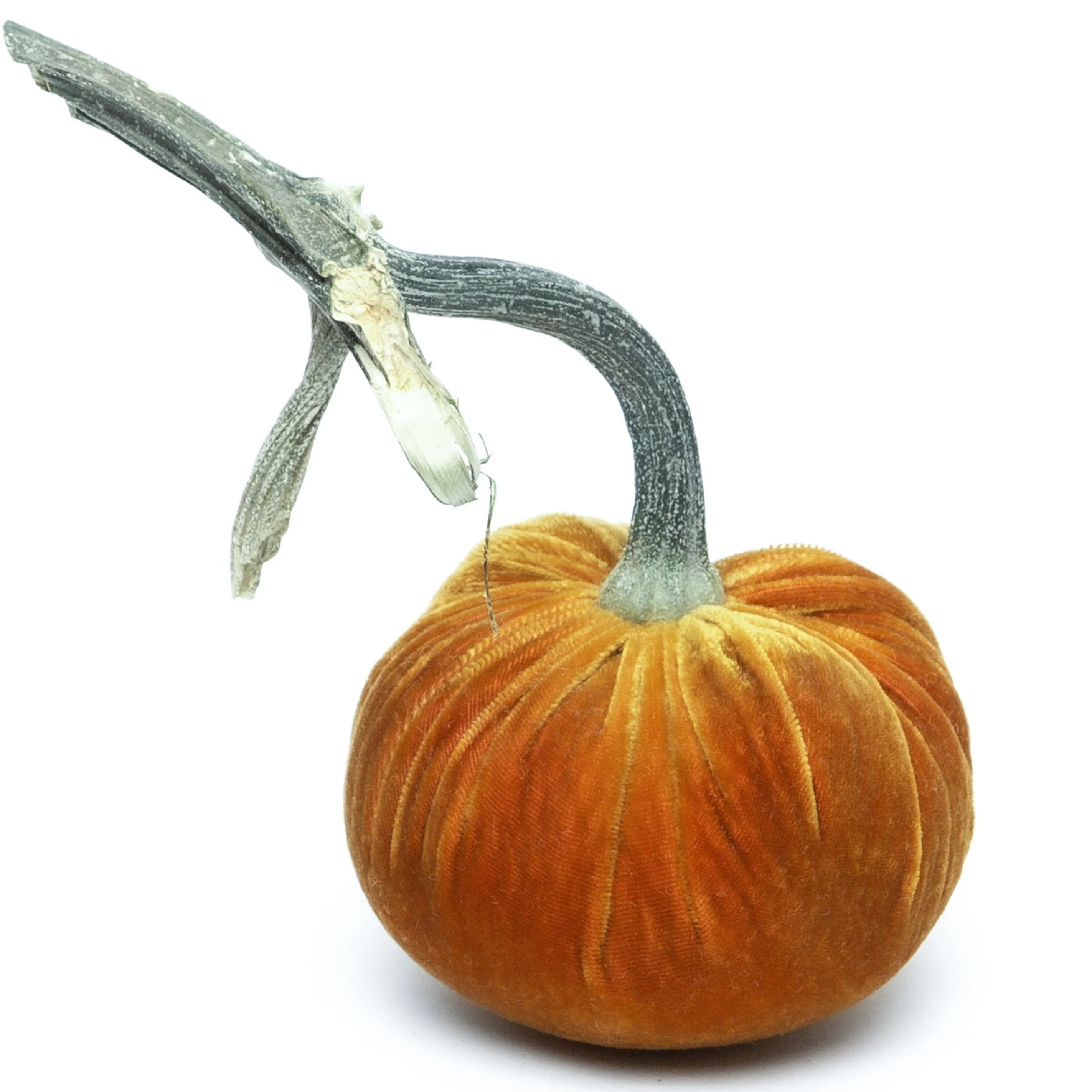D'or Silk Velvet Pumpkin by Hot Skwash