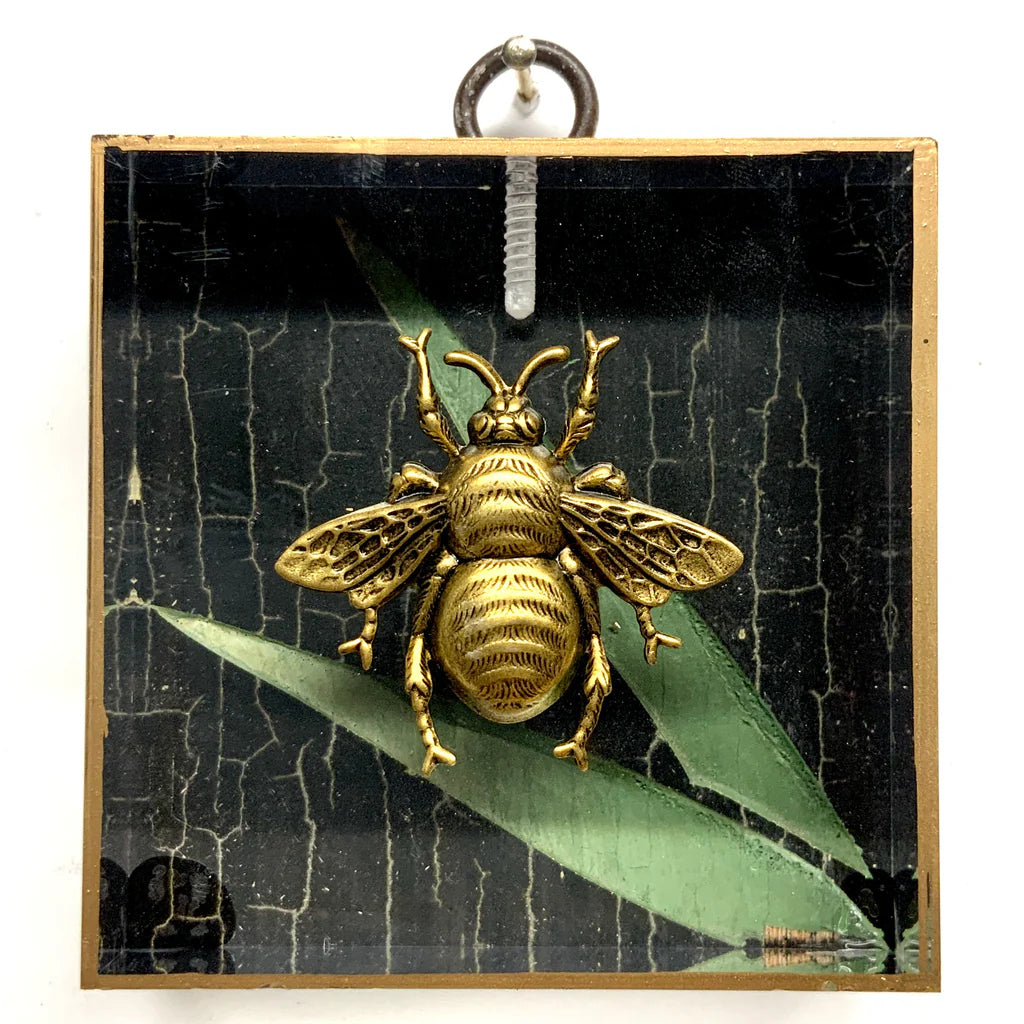 Acrylic Frame with Grande Bee on Coromandel by Museum Bees