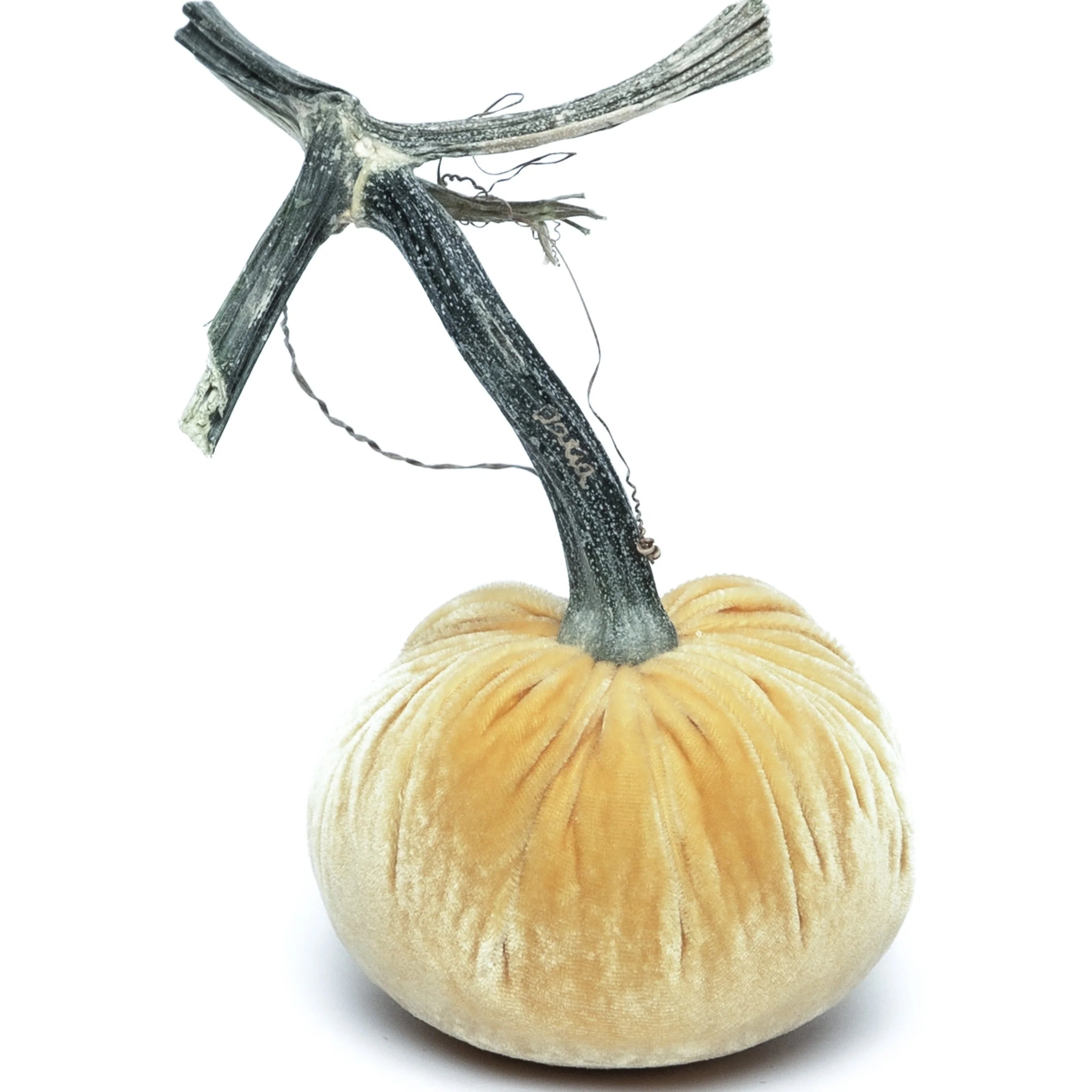 Maize Silk Velvet Pumpkin by Hot Skwash
