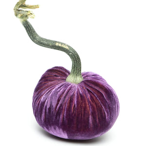 Orchid Silk Velvet Pumpkin by Hot Skwash