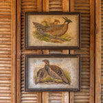 Load image into Gallery viewer, Pheasant Print
