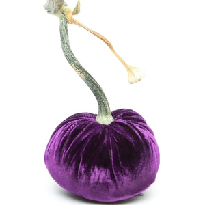 Violet Silk Velvet Pumpkin by Hot Skwash