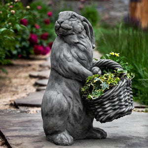 Spring Hare by Campania