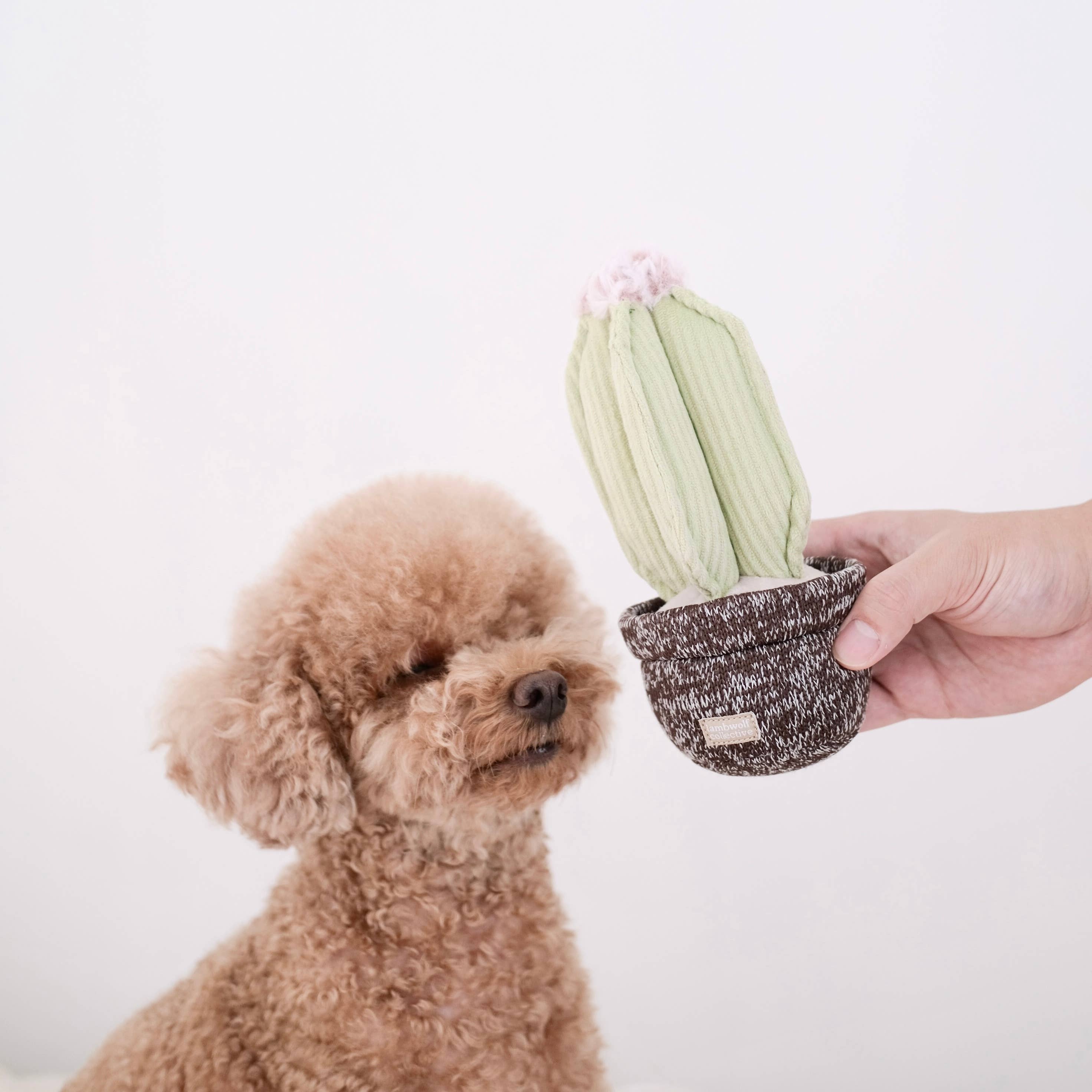 Cactus Toy by Lambwolf Collective