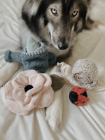 Load image into Gallery viewer, Large Poppy Flower Toy by Lambwolf Collective - Poppy: Large
