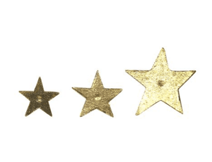 Nail- Star Large
