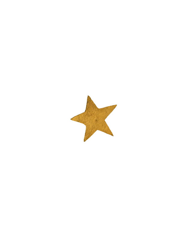 Nail- Star Medium