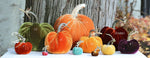 Load image into Gallery viewer, Hot Skwash Silk Velvet Pumpkins with Feather Plume (4 Inch)
