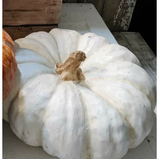 Cinderella Pumpkin