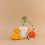 Load image into Gallery viewer, Votivo Aromatic Candle: Aromatic 2 Wick Candle-Red Currant
