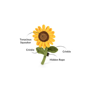 Blooming Buddies Collection - Sassy Sunflower
